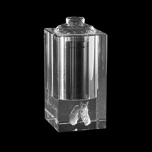 3D-UR001 - Foto - Mini-urne